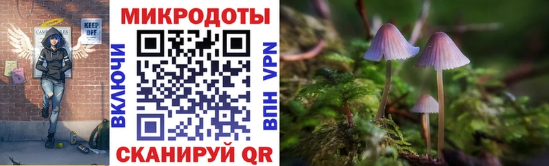 Псилоцибиновые грибы прущие грибы  Тутаев 