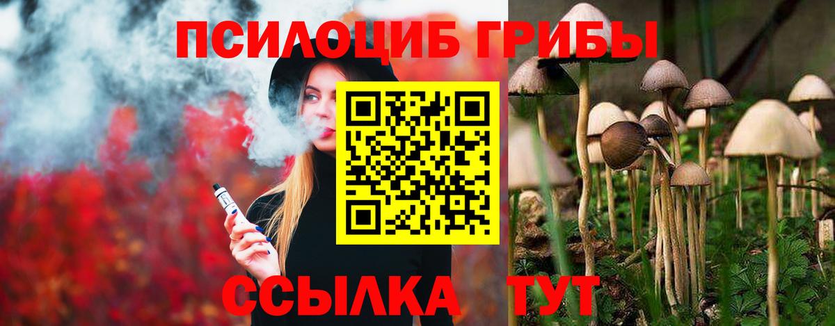 Галлюциногенные грибы прущие грибы Тутаев