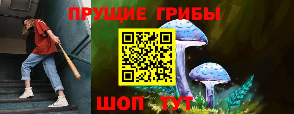 Тутаев  Псилоцибиновые грибы ЛСД  Вход с VPN 